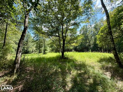 Hunting Land for sale in Washington County, Alabama
