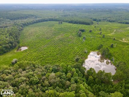 Ranch Property for sale in Greene County, Mississippi