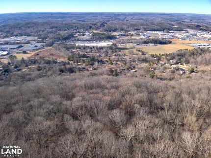 Hunting Land for sale in DeKalb County, Alabama