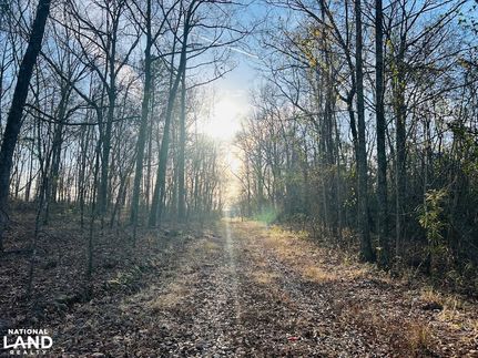 Residential Property for sale in Taylor County, Georgia