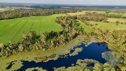 Property for sale in Jeff Davis County, Georgia