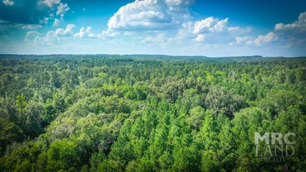Undeveloped Land for sale in Nacogdoches County, Texas