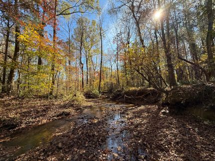 Timberland Property for sale in Lee County, Alabama