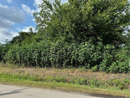 Undeveloped Land for sale in Saint Bernard Parish, Louisiana