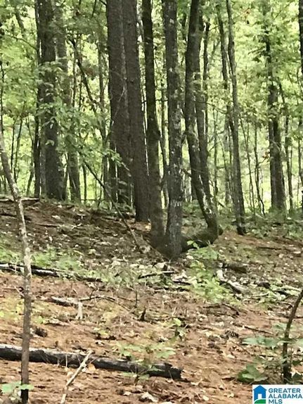 Property for sale in Talladega County, Alabama