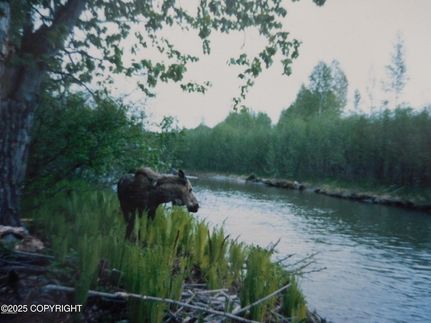 Property for sale in Matanuska-Susitna Borough, Alaska