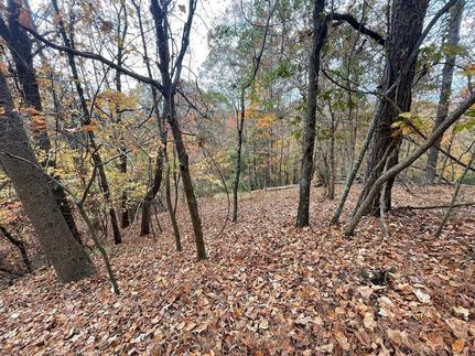 Undeveloped Land for sale in Gilmer County, Georgia