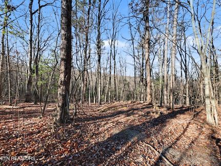 Property for sale in Blount County, Tennessee