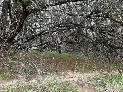 Property for sale in Travis County, Texas