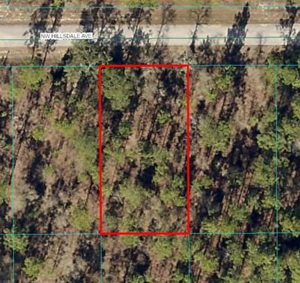 Undeveloped Land for sale in Marion County, Florida