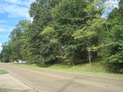 Undeveloped Land for sale in Hinds County, Mississippi