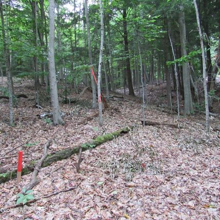 Undeveloped Land for sale in Saratoga County, New York
