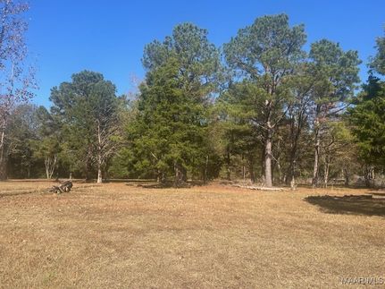 Property for sale in Macon County, Alabama