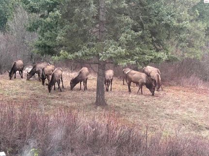 Property for sale in Kootenai County, Idaho