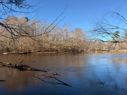 Undeveloped Land for sale in Orangeburg County, South Carolina