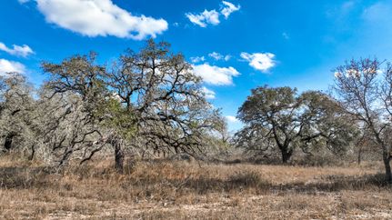 Ranch Property for sale in Medina County, Texas