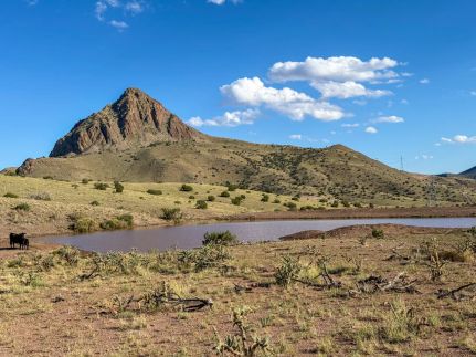 Horse Property for sale in Socorro County, New Mexico