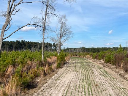 Property for sale in Williamsburg County, South Carolina