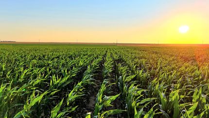 Ranch Property for sale in Pawnee County, Kansas