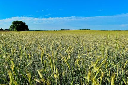 Property for sale in Pratt County, Kansas