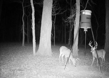 Property for sale in Faulkner County, Arkansas