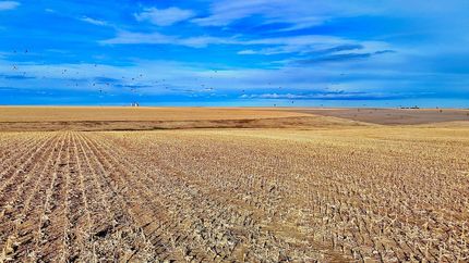 Property for sale in Sherman County, Kansas