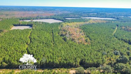 Property for sale in Bulloch County, Georgia