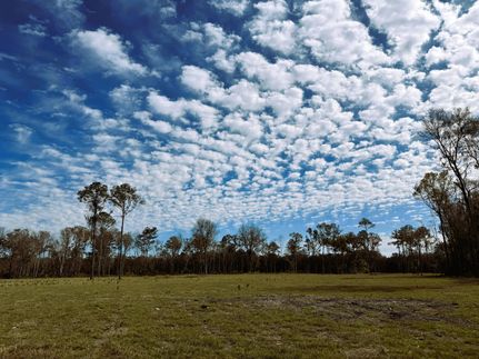 Undeveloped Land for sale in Marion County, Florida