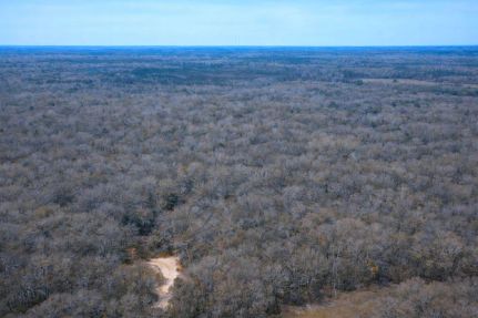 Property for sale in Crenshaw County, Alabama