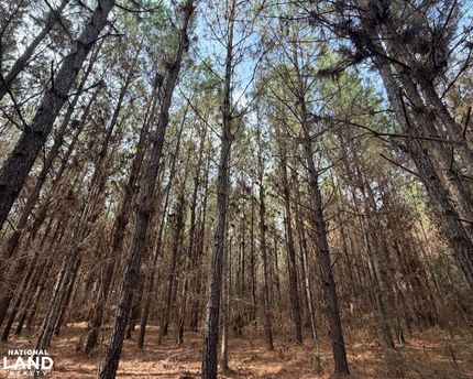 Recreational Property for sale in Coffee County, Alabama