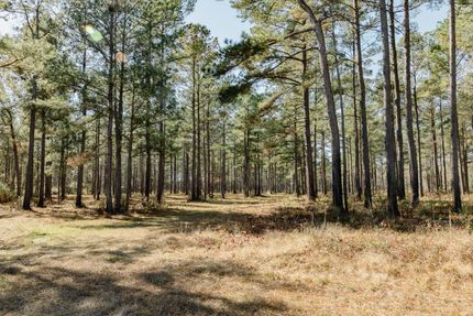 Property for sale in Colleton County, South Carolina