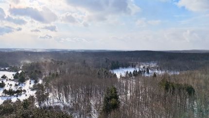 Property for sale in Clare County, Michigan