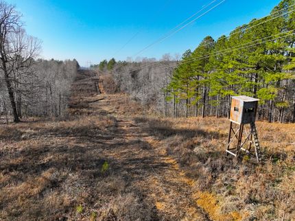 Property for sale in Lyon County, Kentucky