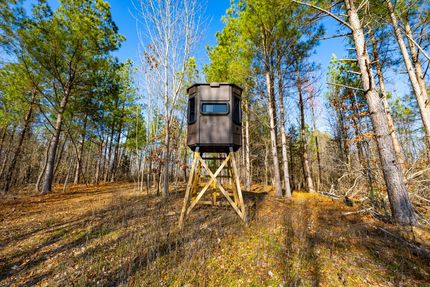 Property for sale in Lyon County, Kentucky