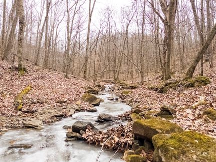 Timberland Property for sale in Greenbrier County, West Virginia