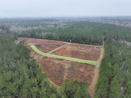 Timberland Property for sale in Saint Helena Parish, Louisiana