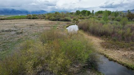 Property for sale in Custer County, Idaho