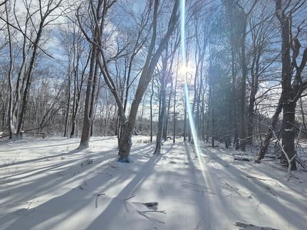 Property for sale in Cayuga County, New York