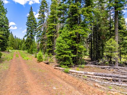 Undeveloped Land for sale in Modoc County, California