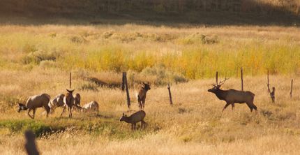 Ranch Property for sale in Montrose County, Colorado