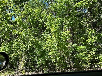 Property for sale in Cullman County, Alabama