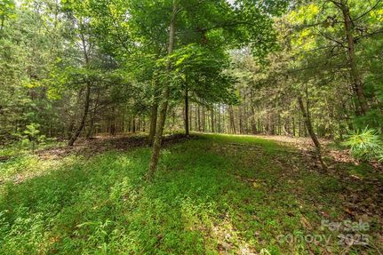 Property for sale in McDowell County, North Carolina