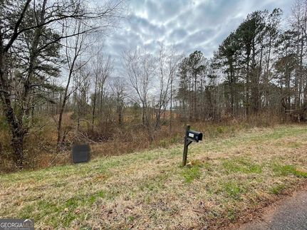 Undeveloped Land for sale in Meriwether County, Georgia