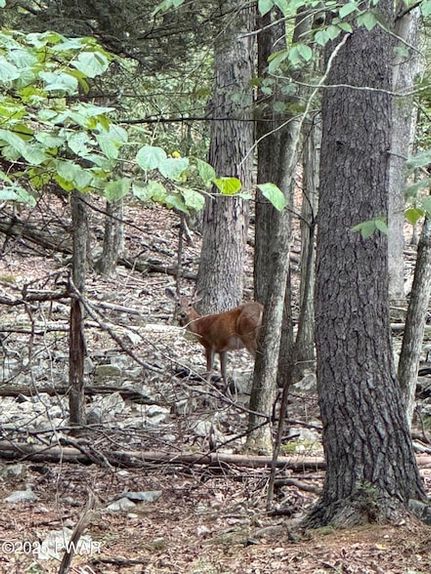 Property for sale in Pike County, Pennsylvania