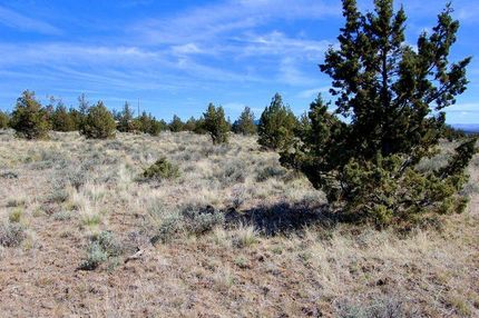 Undeveloped Land for sale in Crook County, Oregon