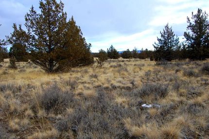 Property for sale in Crook County, Oregon