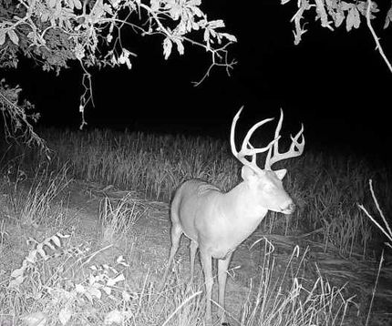 Farm Property for sale in Woodson County, Kansas