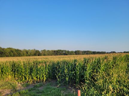 Property for sale in Montgomery County, Missouri