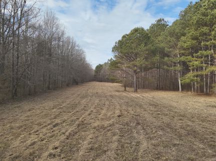 Timberland Property for sale in Oktibbeha County, Mississippi
