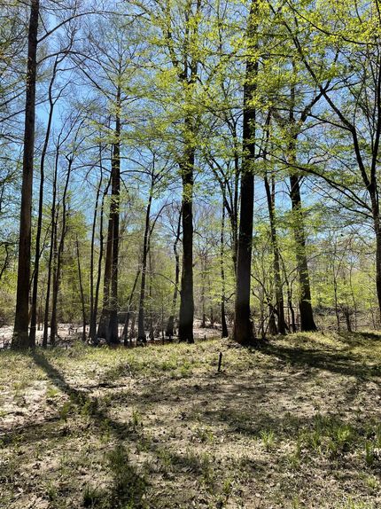 Recreational Property for sale in Covington County, Alabama